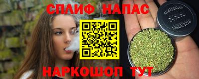 spice Боровичи