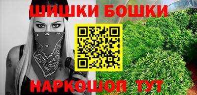 spice Боровичи