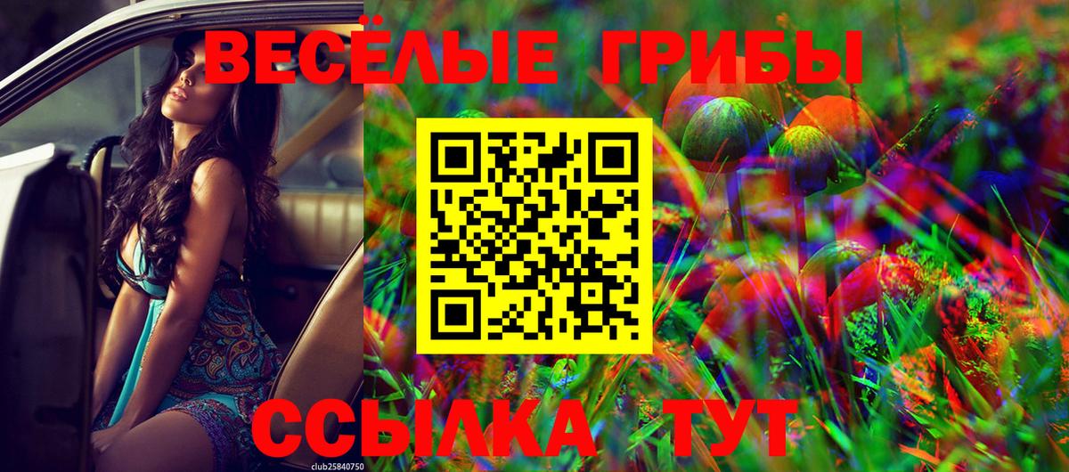 Псилоцибиновые грибы Cubensis  Псилоцибиновые грибы Magic Shrooms  Верхняя Пышма  Вход с VPN 
