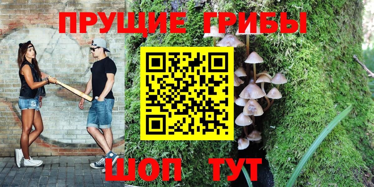 Псилоцибиновые грибы Cubensis Верхняя Пышма